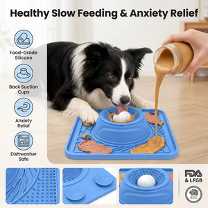便携式 2 合 1 慢速喂食狗碗硅胶防滑舔玩具适用于液体湿食物水餐具