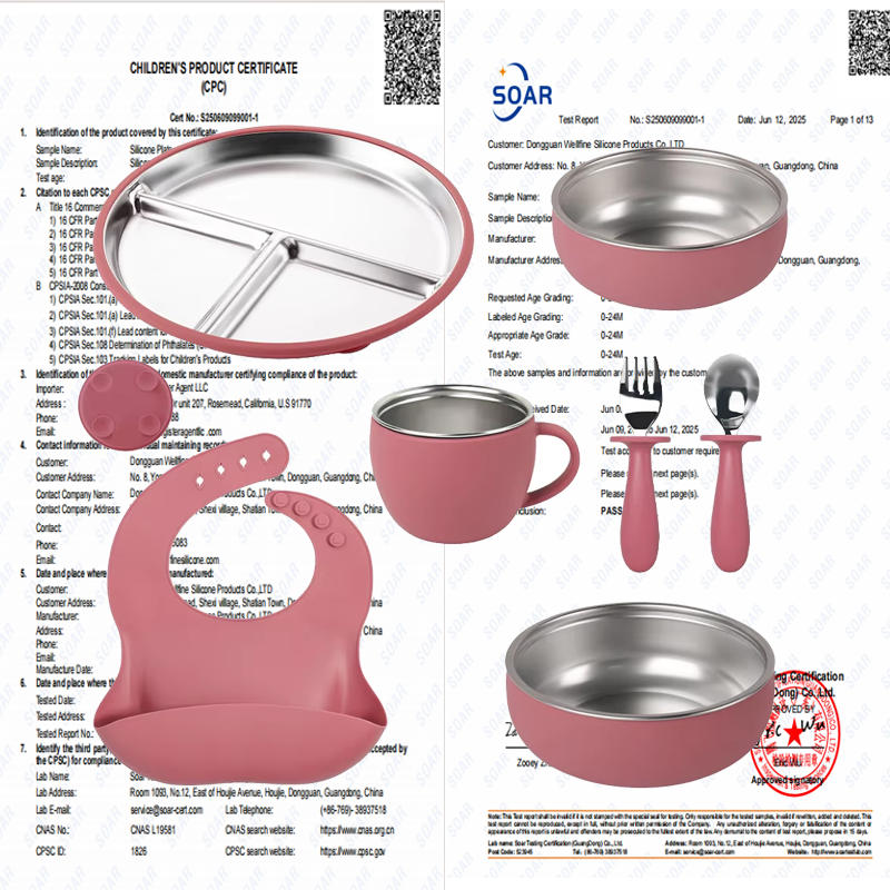 Wellfine 婴儿餐具套装 食品级硅胶易清洁不锈钢盘带吸盘套装